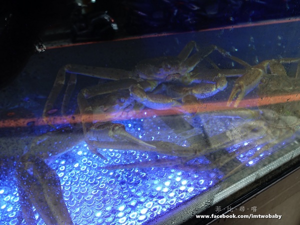 崔官木桶鍋:【捷運美食】崔官木桶鍋 海底總動員霸氣魚船駛上桌 頂級活海鮮、高級和牛 海鮮控/肉食族的你還不快來挑戰大胃王!新埔捷運站 崔官木桶鍋:【捷運美食】崔官木桶鍋 海底總動員霸氣魚船駛上桌 頂級活海鮮、高級和牛 海鮮控/肉食族的你還不快來挑戰大胃王!新埔捷運站