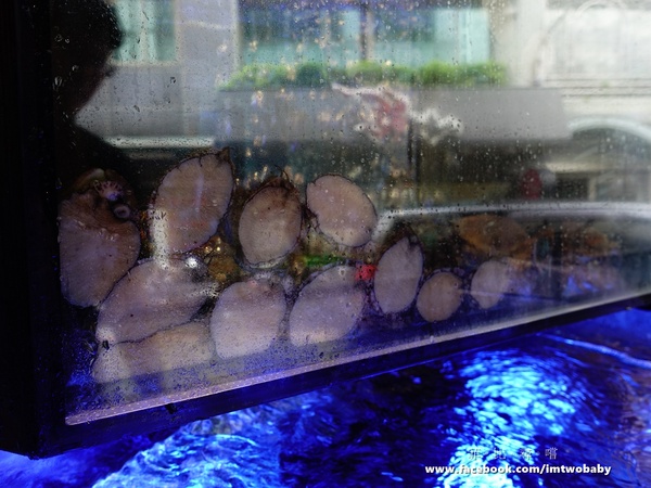 崔官木桶鍋:【捷運美食】崔官木桶鍋 海底總動員霸氣魚船駛上桌 頂級活海鮮、高級和牛 海鮮控/肉食族的你還不快來挑戰大胃王!新埔捷運站 崔官木桶鍋:【捷運美食】崔官木桶鍋 海底總動員霸氣魚船駛上桌 頂級活海鮮、高級和牛 海鮮控/肉食族的你還不快來挑戰大胃王!新埔捷運站