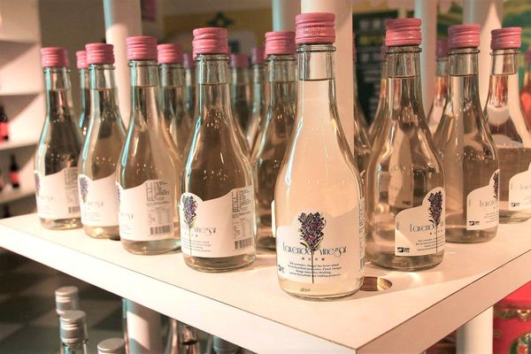 酵母寶寶の異想世界：【嘉義景點】嘉義民雄免費新景點~酵母寶寶の異想世界，趕快收納在口袋行程裡吧/白色童趣的城堡/酵母菌、醋酸菌、乳酸菌的酵素製成/親子旅遊休憩園區