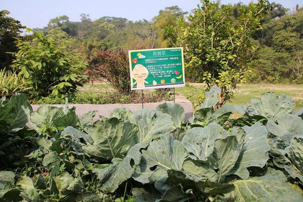 酵母寶寶の異想世界：【嘉義景點】嘉義民雄免費新景點~酵母寶寶の異想世界，趕快收納在口袋行程裡吧/白色童趣的城堡/酵母菌、醋酸菌、乳酸菌的酵素製成/親子旅遊休憩園區