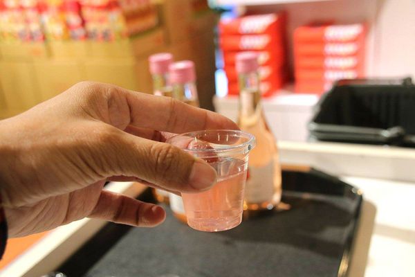 酵母寶寶の異想世界：【嘉義景點】嘉義民雄免費新景點~酵母寶寶の異想世界，趕快收納在口袋行程裡吧/白色童趣的城堡/酵母菌、醋酸菌、乳酸菌的酵素製成/親子旅遊休憩園區