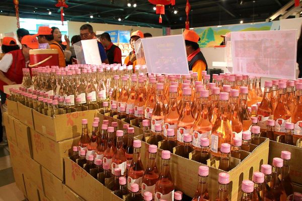 酵母寶寶の異想世界：【嘉義景點】嘉義民雄免費新景點~酵母寶寶の異想世界，趕快收納在口袋行程裡吧/白色童趣的城堡/酵母菌、醋酸菌、乳酸菌的酵素製成/親子旅遊休憩園區