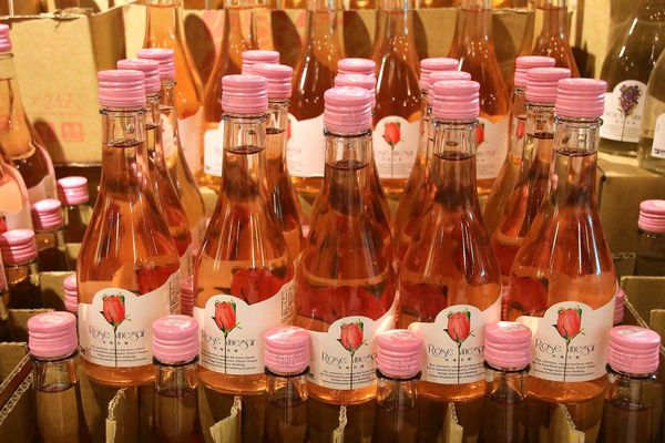 酵母寶寶の異想世界：【嘉義景點】嘉義民雄免費新景點~酵母寶寶の異想世界，趕快收納在口袋行程裡吧/白色童趣的城堡/酵母菌、醋酸菌、乳酸菌的酵素製成/親子旅遊休憩園區