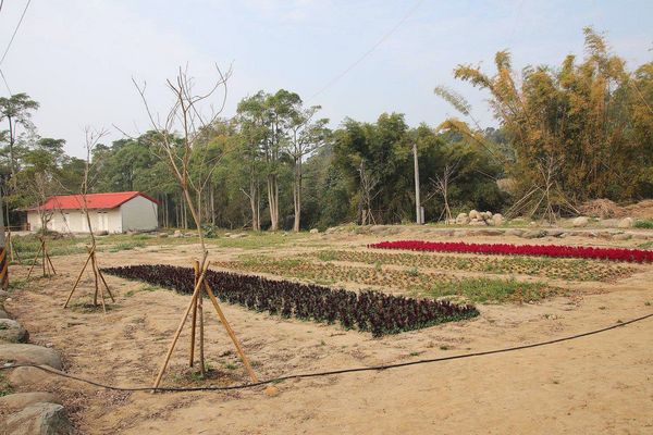 酵母寶寶の異想世界：【嘉義景點】嘉義民雄免費新景點~酵母寶寶の異想世界，趕快收納在口袋行程裡吧/白色童趣的城堡/酵母菌、醋酸菌、乳酸菌的酵素製成/親子旅遊休憩園區