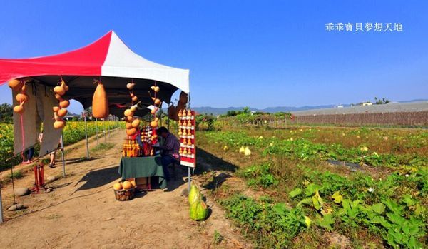 高雄杉林花海-4.JPG 高雄杉林花海-4.JPG