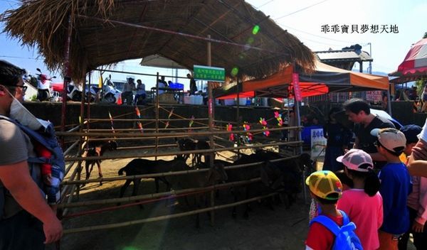 高雄杉林花海-16.JPG 高雄杉林花海-16.JPG