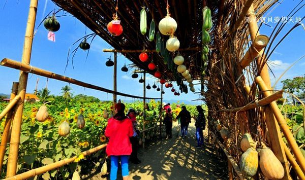 高雄杉林花海-21.JPG 高雄杉林花海-21.JPG