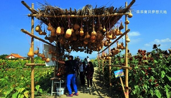 高雄杉林花海-17.JPG 高雄杉林花海-17.JPG