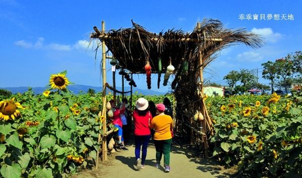 高雄杉林花海-20.JPG 高雄杉林花海-20.JPG