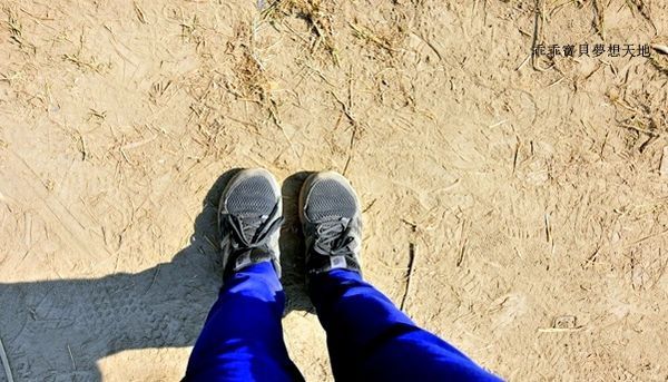 高雄杉林花海-28.JPG 高雄杉林花海-28.JPG