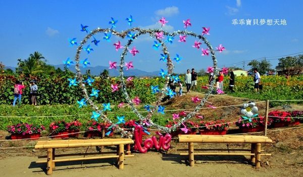 高雄杉林花海-13.JPG 高雄杉林花海-13.JPG