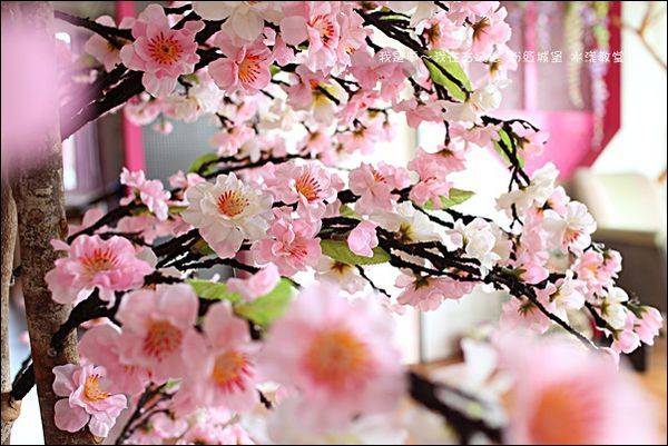 古坑珍 粉紅城堡 水漾教堂31.jpg