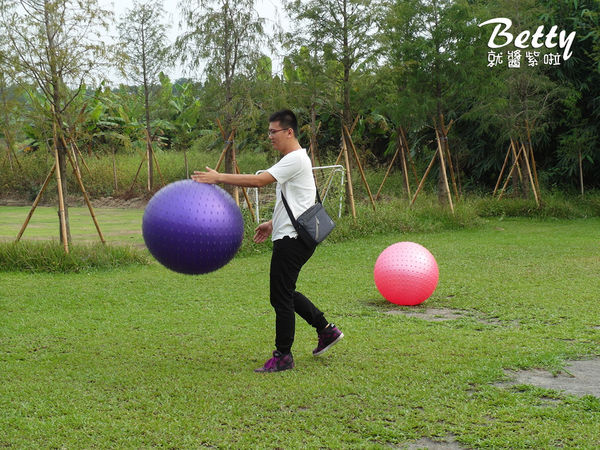 20171008古坑珍粉紅城堡-水漾森林教堂 (29).jpg