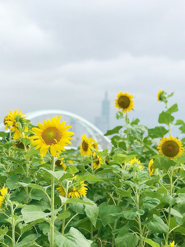 彩虹河濱公園_181006_0047