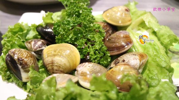 鍋董(劍潭店)：【台北美食】過年少數有開的火鍋店--鍋董@劍潭捷運站/士林