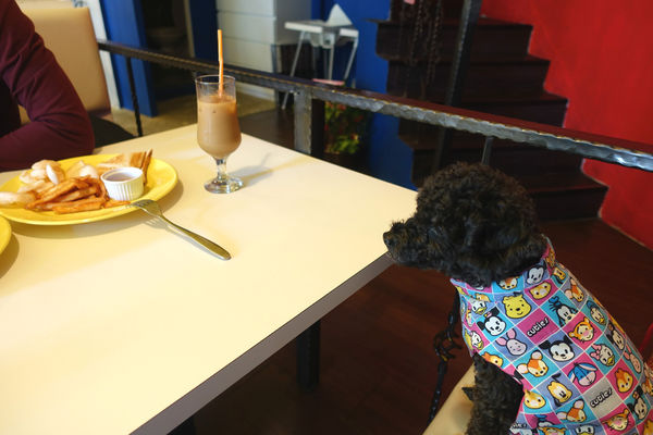 桑芭38.jpg 桑芭38.jpg