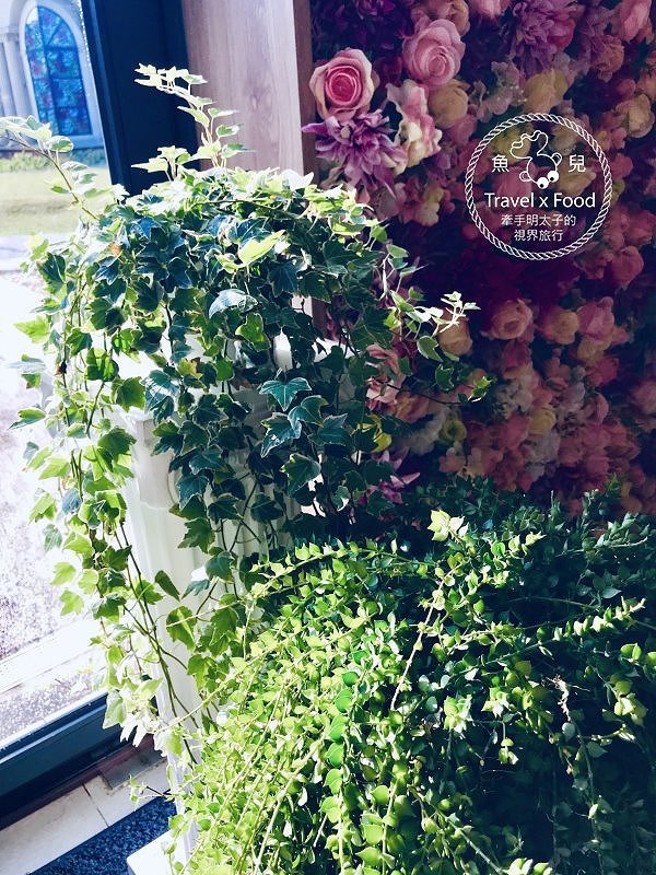 HoneyWood Cafe，陽光與綠地，親子家庭必訪的庭園餐廳，網美也該衝一波 @魚兒 x 牽手明太子的「視」界旅行