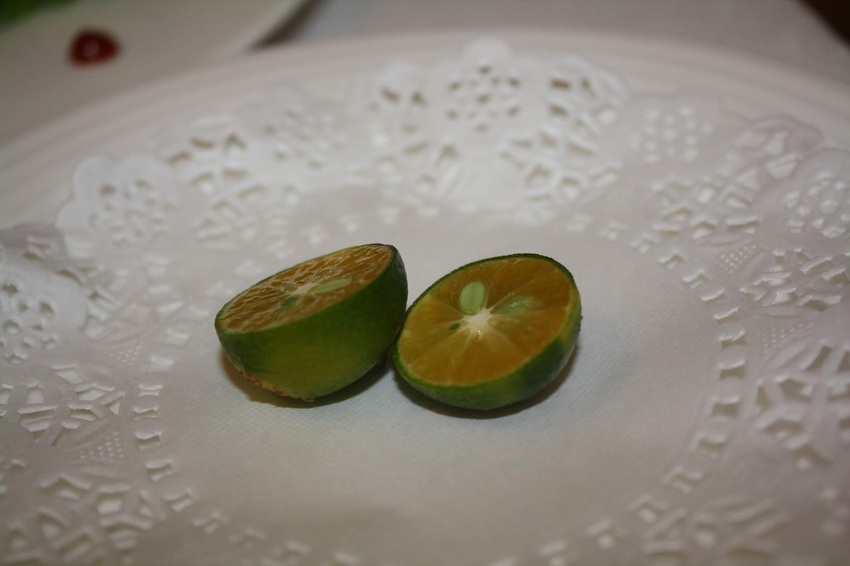 【捷運新埔站美食】Oyami cafe-IG打卡美食 夏威夷鬆餅,板橋下午茶／新埔義式餐廳／咖啡鬆餅／韓式炸雞