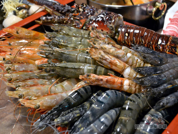 火鍋推薦列表-崔官木桶鍋03-第一次同時看到這麼多種高級蝦