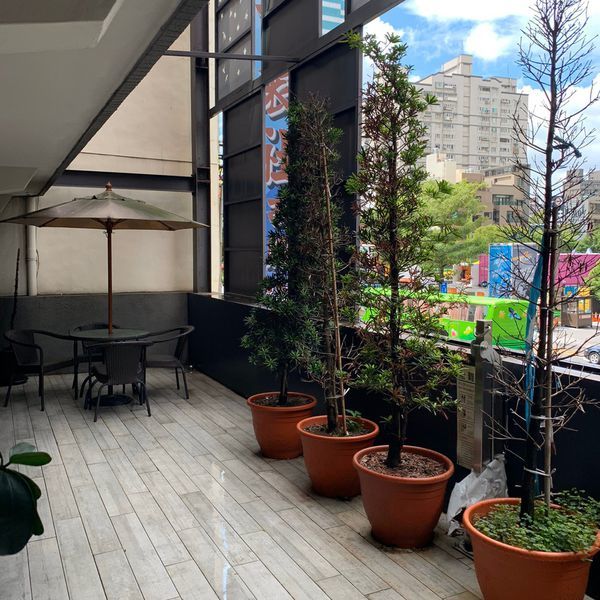 929桐花_191006_0014