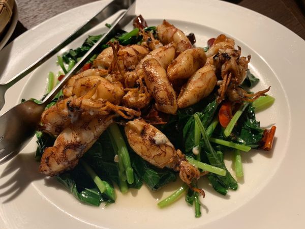 929桐花_191006_0002