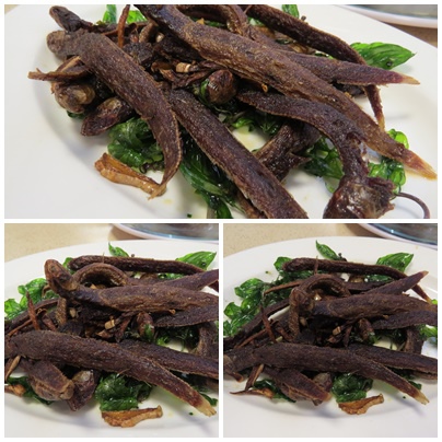 大眾8.jpg 大眾8.jpg