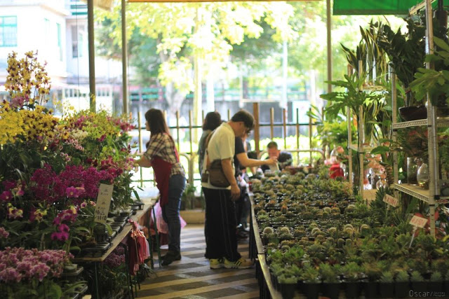 建國假日花市-45