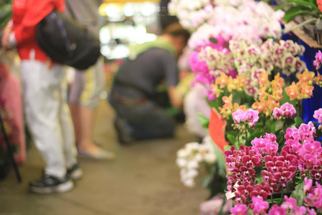 建國假日花市-3