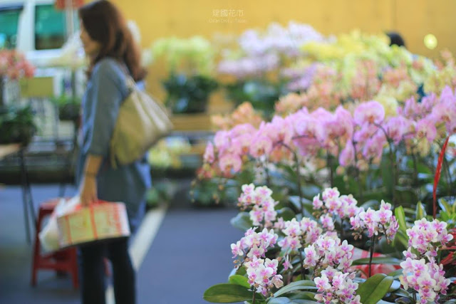 建國假日花市-7
