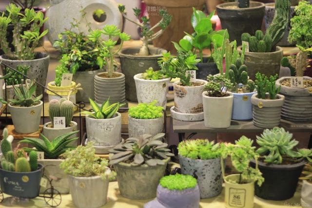 建國假日花市-9