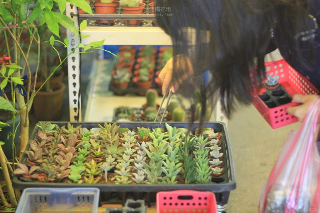 建國假日花市-19