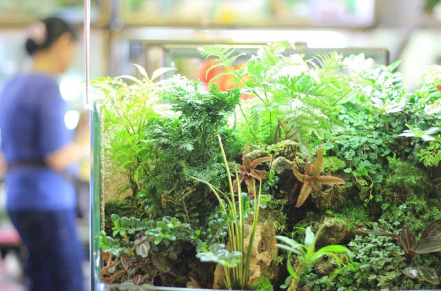 建國假日花市-48