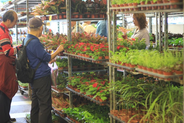 建國假日花市-5