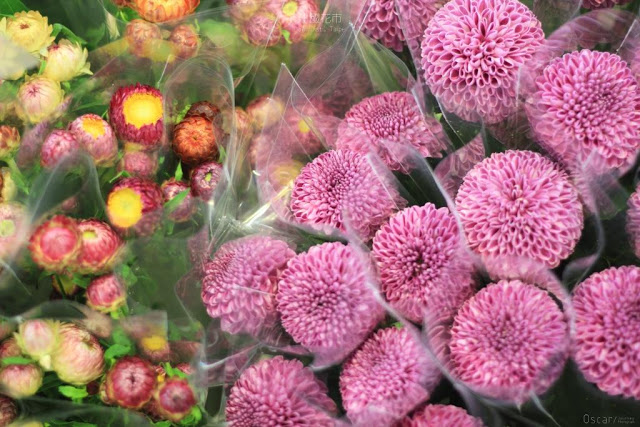 建國假日花市-25