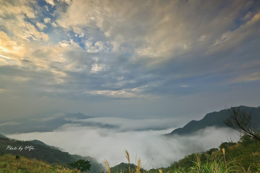 15936358_1451690154850875_1483887199795121561_o