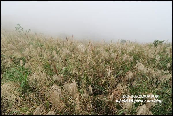 基隆山38.JPG