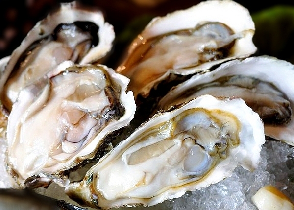 瓦崎燒烤火鍋(西門店):【台北美食】西門町燒肉吃到飽 <瓦崎燒烤火鍋(西門店)>.天使紅蝦 / 頂級Prime無骨牛小排 / 生蠔 無限吃到飽.台灣生啤 無限暢飲