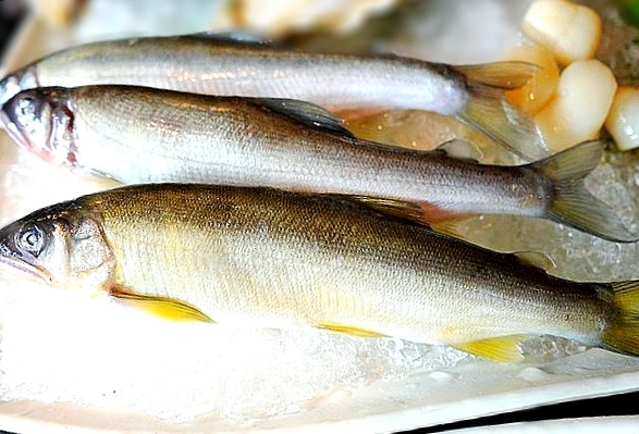 瓦崎燒烤火鍋(西門店):【台北美食】西門町燒肉吃到飽 <瓦崎燒烤火鍋(西門店)>.天使紅蝦 / 頂級Prime無骨牛小排 / 生蠔 無限吃到飽.台灣生啤 無限暢飲