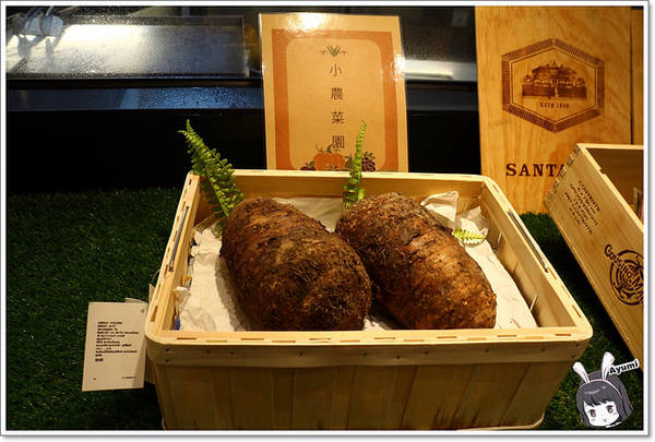 好田洋食餐廳：[食記]►台南東區◄好田洋食餐廳/五人同行一人免費/吃到飽的鮮食蔬活吧/備有室內停車場/美式炭烤豬肋排/招牌燉牛舌VS起司歐姆蛋