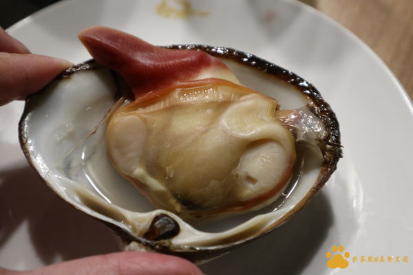 IMG_0893.JPG IMG_0893.JPG