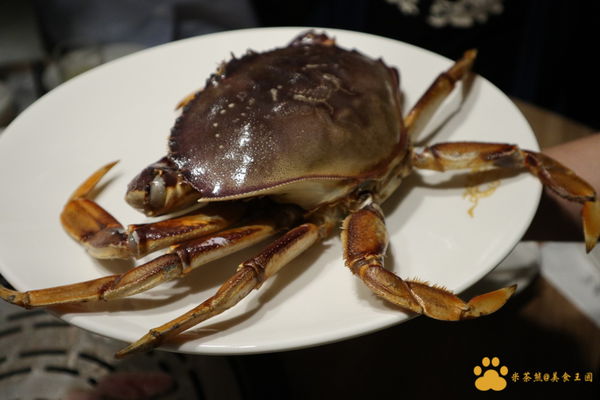 IMG_0786.JPG IMG_0786.JPG