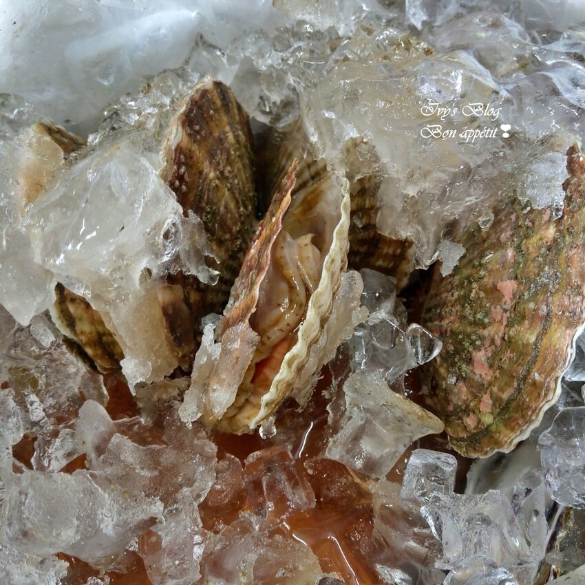 IMAG1055.jpg IMAG1055.jpg