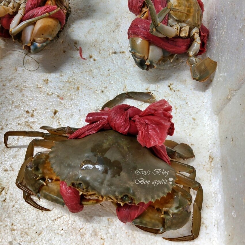 IMAG1054.jpg IMAG1054.jpg