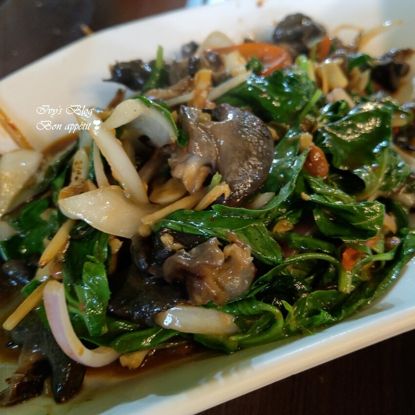 IMAG1072.jpg IMAG1072.jpg