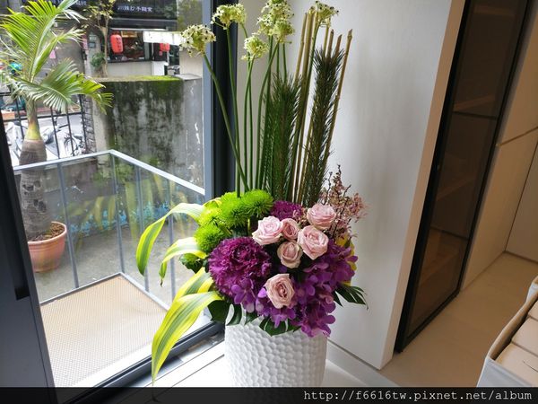 20170301_112958.jpg 20170301_112958.jpg