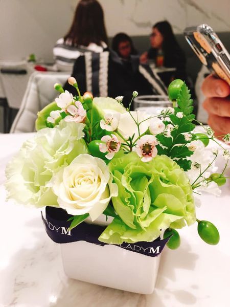 64861013_10217869136575449_2314630254603272192_n.jpg 64861013_10217869136575449_2314630254603272192_n.jpg