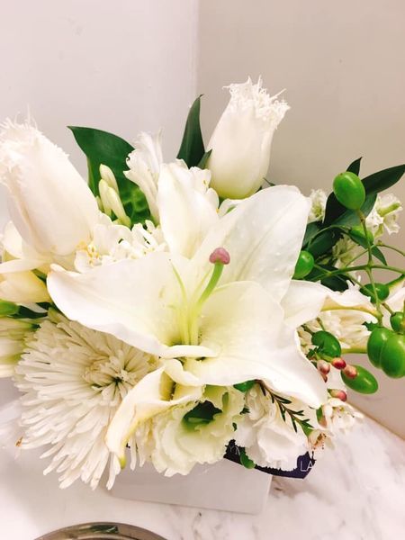 65391914_10217869135295417_2863868198514589696_n.jpg 65391914_10217869135295417_2863868198514589696_n.jpg