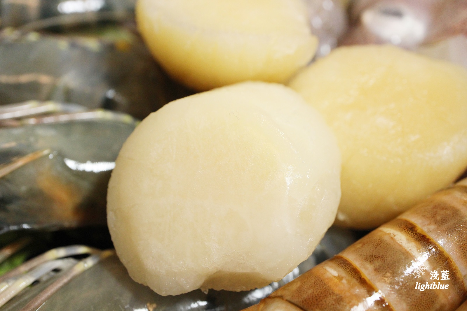 [ 民權西路站美食 ] 淺藍 × 御品皇麻辣鴛鴦鍋～手掌大的小捲與明蝦，還有好吃燒烤與麻辣燙