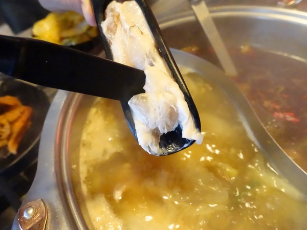 御品皇麻辣鴛鴦鍋：【捷運美食】御品皇麻辣鴛鴦鍋 海鮮拼盤就是鮮 還有滷煮/焗烤/串燒 多樣化菜色一次滿足你的挑剔的味蕾！