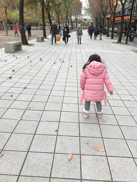 御品皇麻辣鴛鴦鍋：【捷運美食】御品皇麻辣鴛鴦鍋 海鮮拼盤就是鮮 還有滷煮/焗烤/串燒 多樣化菜色一次滿足你的挑剔的味蕾！